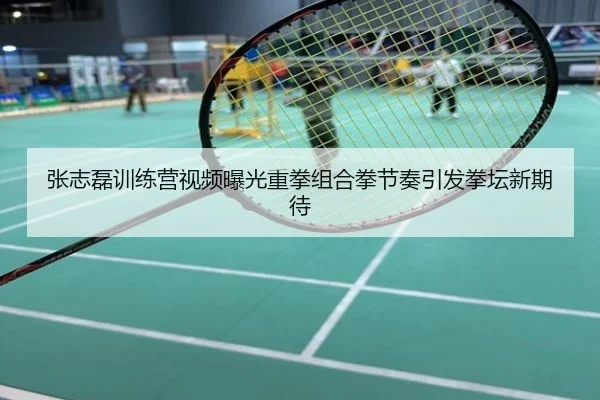 张志磊训练营视频曝光重拳组合拳节奏引发拳坛新期待